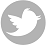 Perfil en Twitter Perfil en Twitter